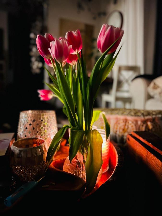 Schlafen Im Atelier - Einzigartiges Gaestezimmer Am Ammersee Apartment Schondorf am Ammersee Luaran gambar